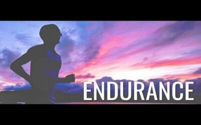 Endurance – Week 3